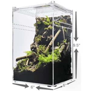 Herpcult Acrylic Enclosure Small-Tall 6"x6"x9.5"