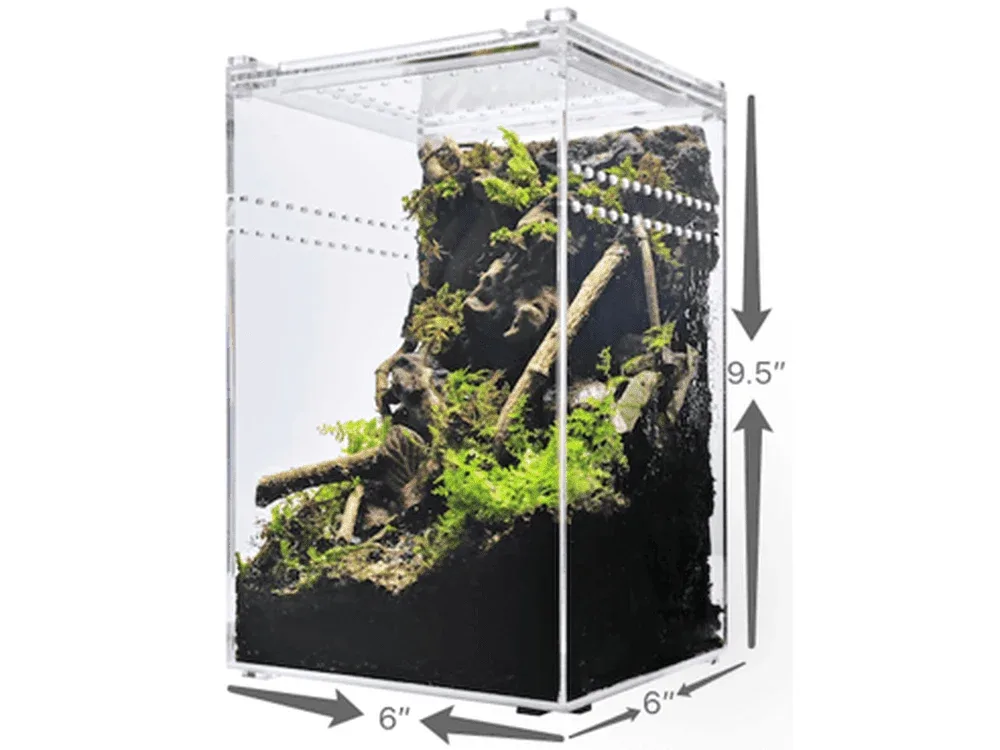 Herpcult Acrylic Enclosure Small-Tall 6"x6"x9.5"