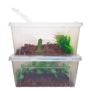Herpcult Large Breeding Box