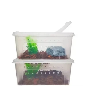Herpcult Medium Breeding Box