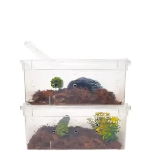 Herpcult Small Breeding Box