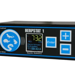 Herpstat 1 Spyderweb