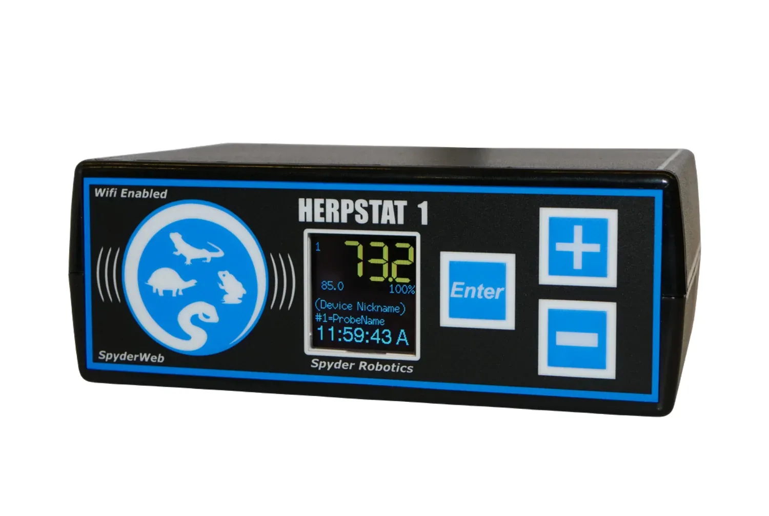 Herpstat 1 Spyderweb