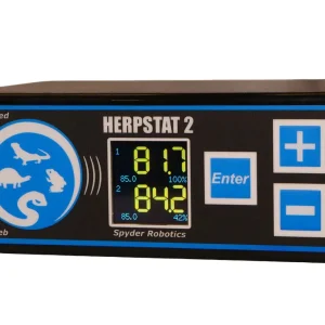 Herpstat 2 Spyderweb