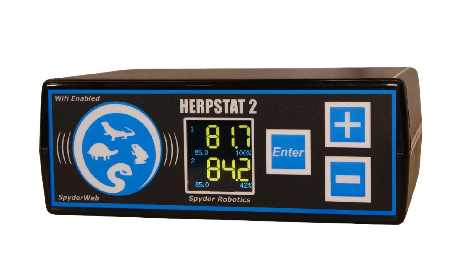 Herpstat 2 Spyderweb