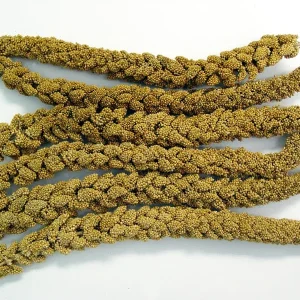 Higgins Spray Millet Treat