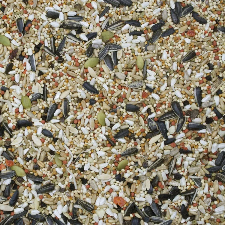 Higgins Sunburst Gourmet Blend Cockatiel Food - Image 2