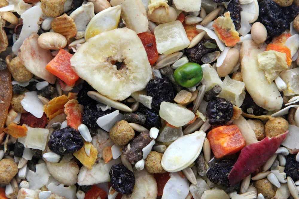 Higgins Sunburst Gourmet Treats Fruits & Veggies Large - Image 2