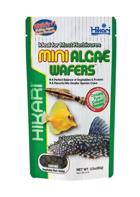 Hikari Algae Wafers Sinking Wafer Fish Food 2.2 lb Mini - Image 2