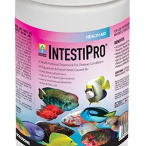 Hikari IntestiPro 2.2 lbs Treats 2000 Gallons