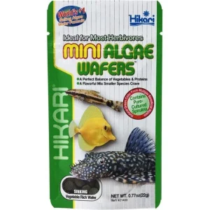 Hikari Mini Algae Wafers Sinking Wafer Fish Food 0.77 oz
