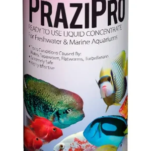 Hikari PraziPro Parasite Treatment, 16 oz.