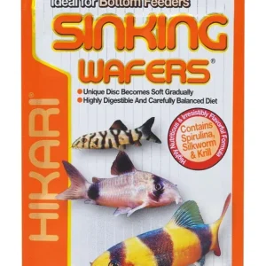 Hikari Sinking Wafers Rapidly Sinking Wafer Fish Food 1.76 oz
