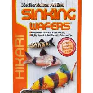 Hikari USA Sinking Wafers Rapidly Sinking Wafer Fish Food 1ea/3.88 oz