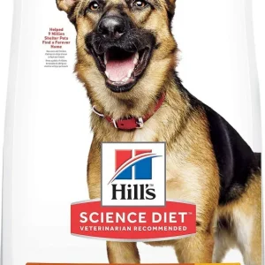 Hill's Science Diet Adult 6+ Large Breed Chicken Meal, Rice, & Barley Recipe Dry Dog Food
