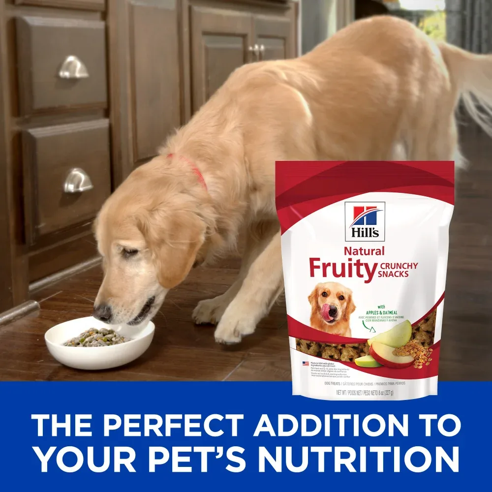Hill's Science Diet Fruity Snacks with Apple & Oatmeal Dog Treats - Image 2