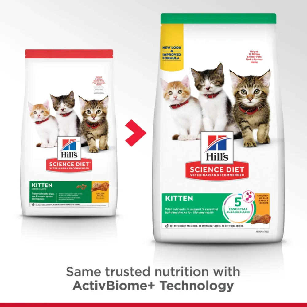 Hill's Science Diet Kitten Chicken Recipe Dry Cat Food - Image 2