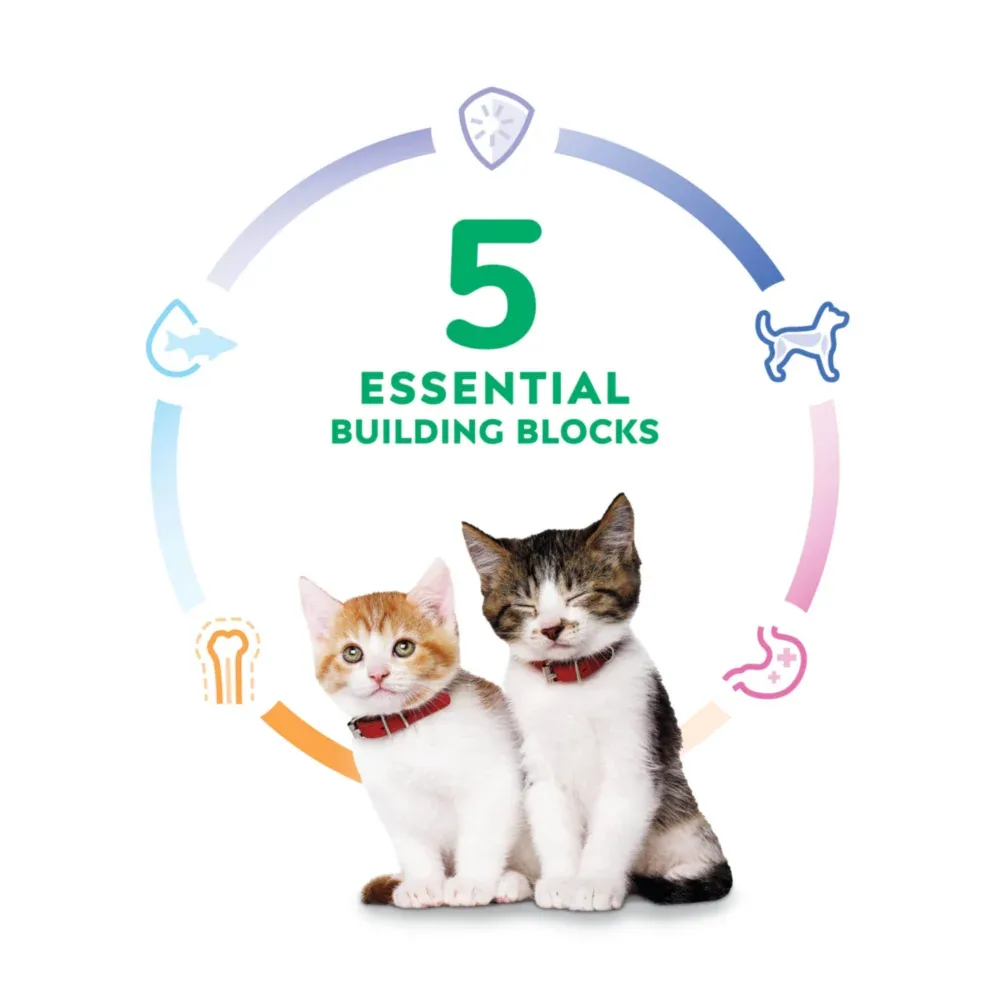 Hill's Science Diet Kitten Liver & Chicken Entree Canned Cat Food - Image 2