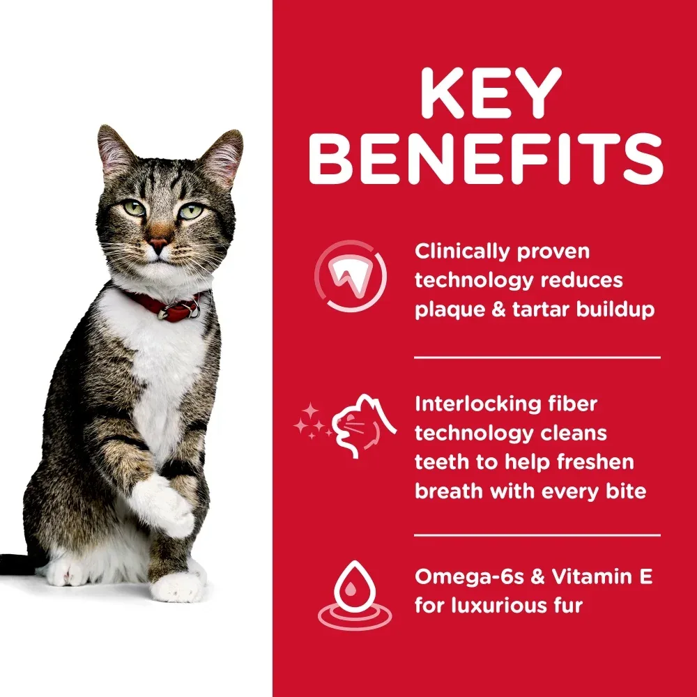 Hill's Science Diet Oral Care Adult Chicken Recipe Dry Cat Food - Image 2