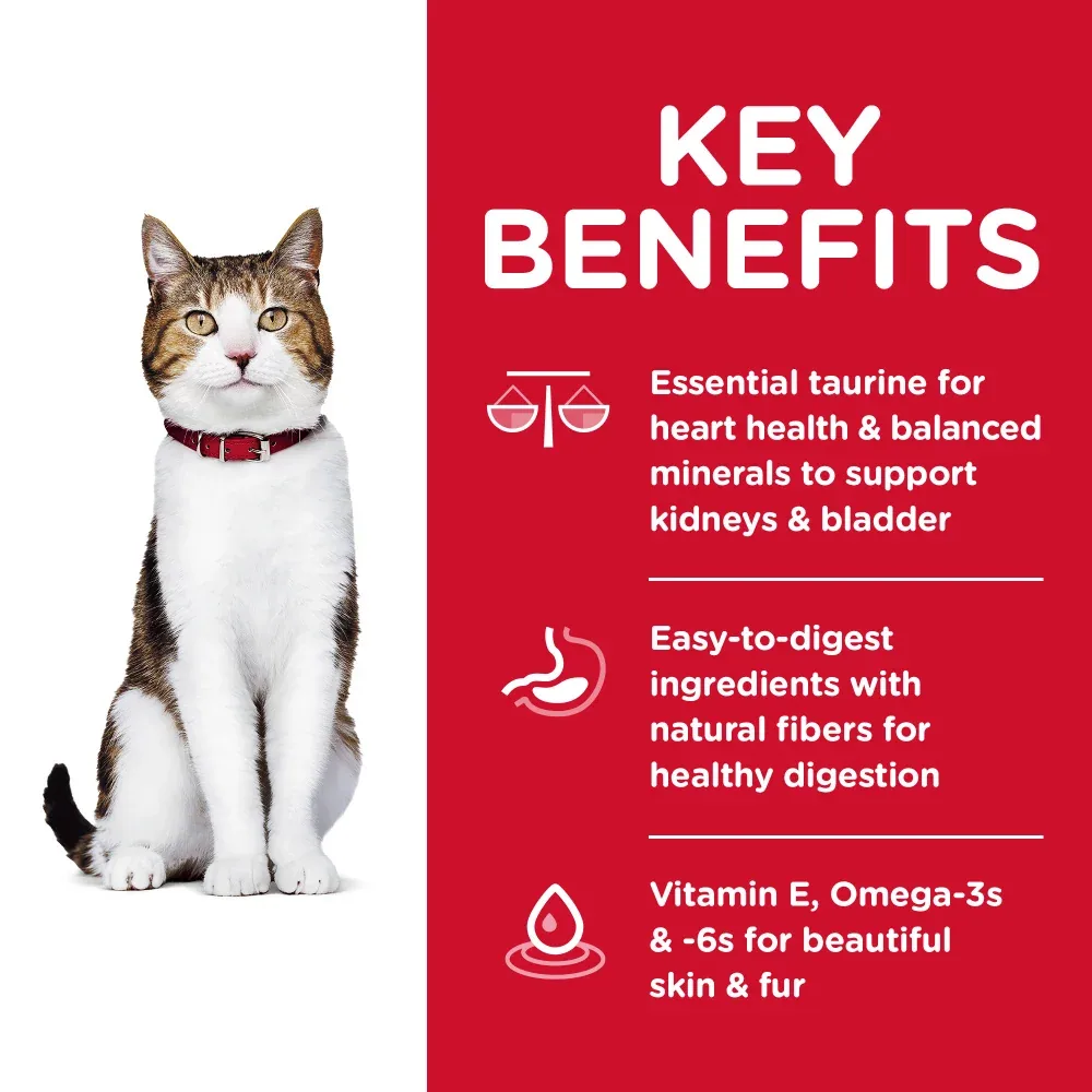 Hill's Science Diet Senior 7+ Chicken Recipe Dry Cat Food - Image 2