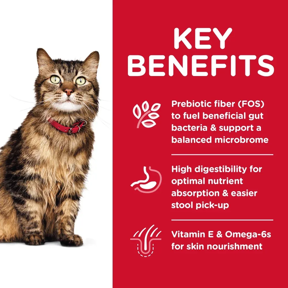 Hill's Science Diet Sensitive Stomach & Skin Chicken & Rice Recipe Adult Dry Cat Food - Image 2