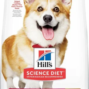 Hill's Science Diet Small Bites Lamb Meal & Brown Rice Recipe Dry Dog Food