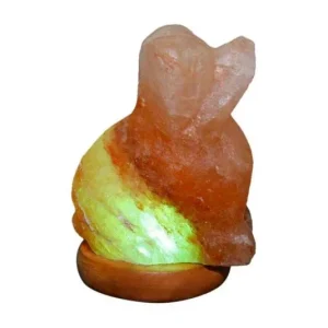 Himalayan Rock Salt Mini Dog Lamp