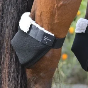 Hock Shield