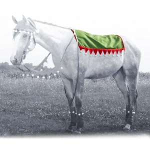 Holiday Elf Western Pad Cover