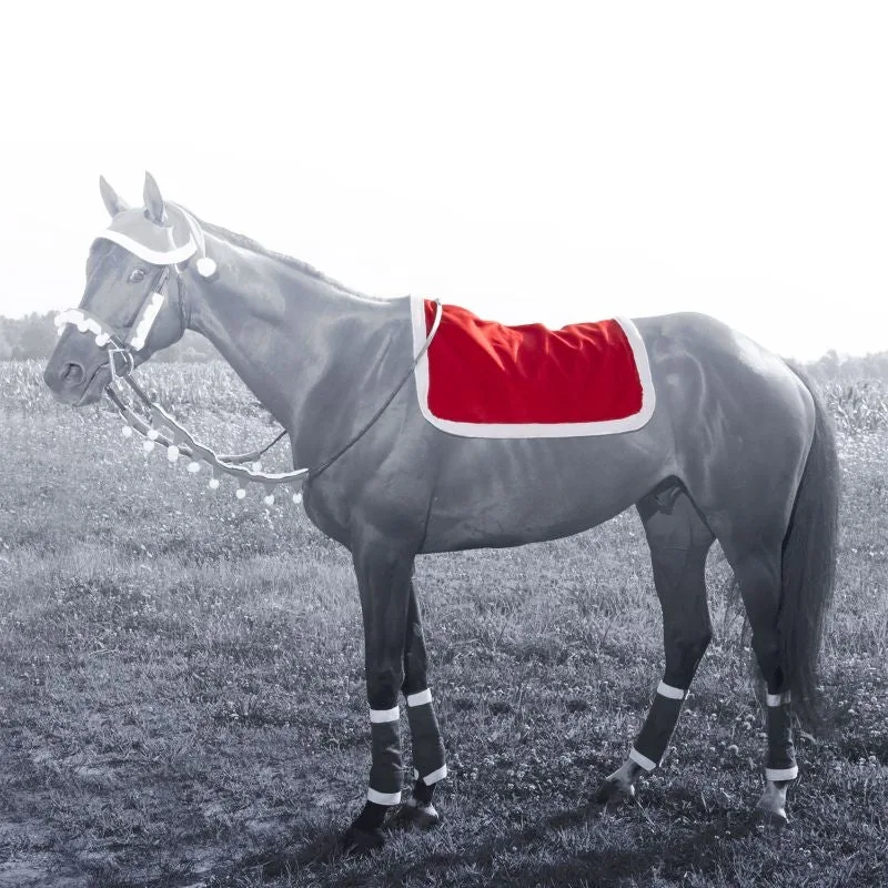 Holiday Santa English Pad Cover