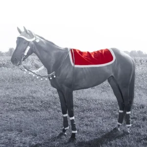 Holiday Santa Western Pad Cover