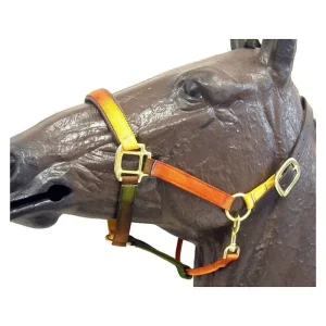 Horse Fare Nylon Breakaway Halter