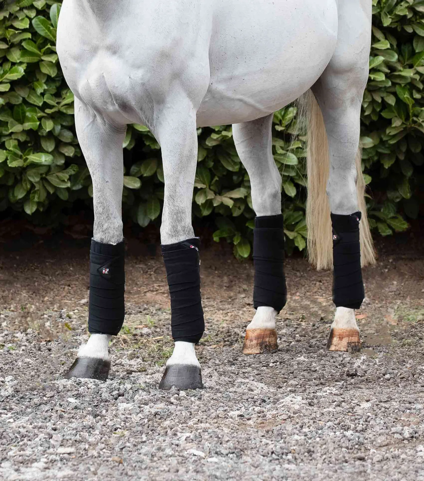 Horse Polo Fleece Bandages Black - Image 2