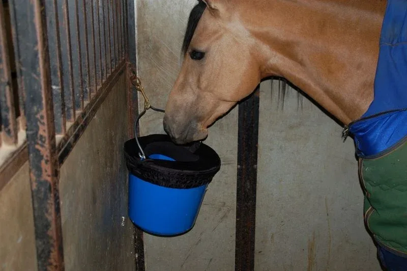 Horse Spa Water-n-Hole Bucket Rim