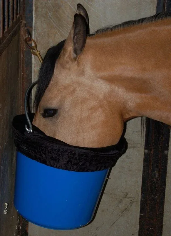 Horse Spa Water-n-Hole Bucket Rim - Image 2