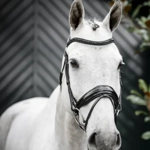 Horseware Diamante Flash Bridle