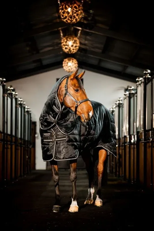 Horseware Easy-Layer Stable Plus 200g - Image 2