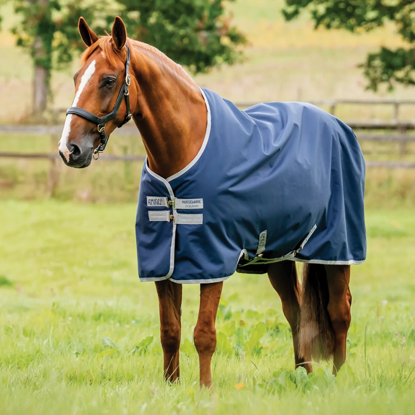 Horseware® Ireland Amigo® 900D Ripstop 0 Gram Turnout Sheet - Image 2