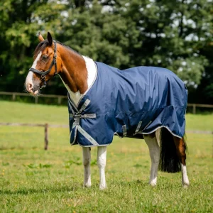 Horseware Ireland Amigo Bravo 12 Original Turnout 250g