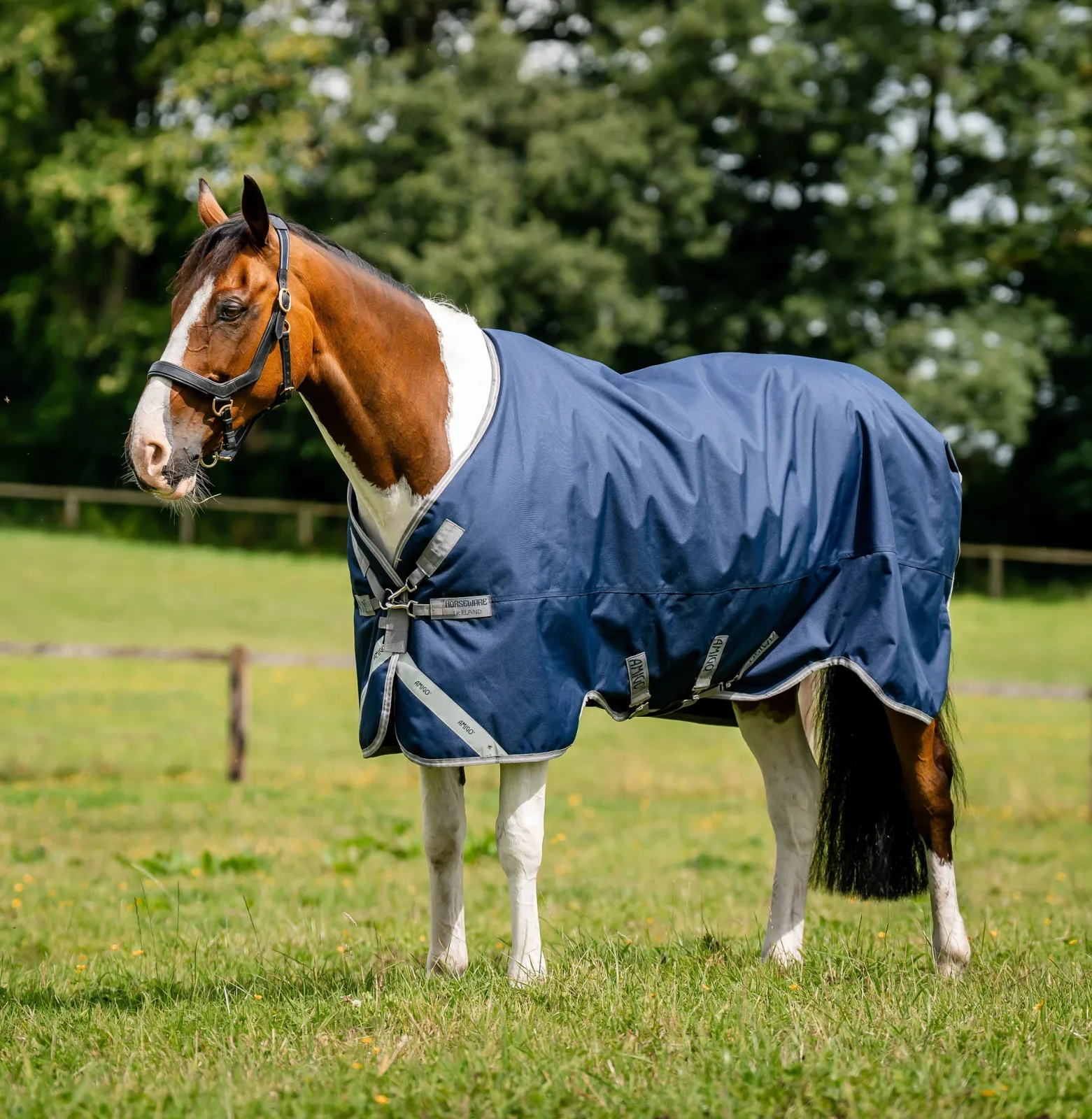 Horseware Ireland Amigo Bravo 12 Original Turnout 250g - Image 2