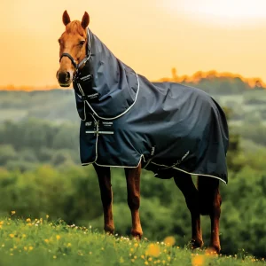 Horseware® Ireland Amigo® Ripstop 900D 100 Gram Plus Turnout