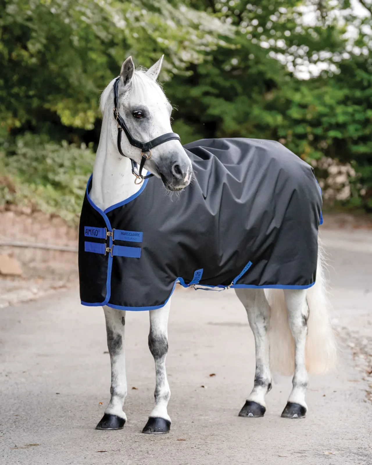 Horseware® Ireland Amigo® Ripstop 900D 100 Gram Standard Neck Pony Turnout - Image 2