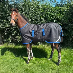 Horseware Ireland Amigo Ripstop 900D Foal Turnout 200g