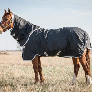 Horseware Ireland® Amigo® Stock Horse Plus Turnout Light