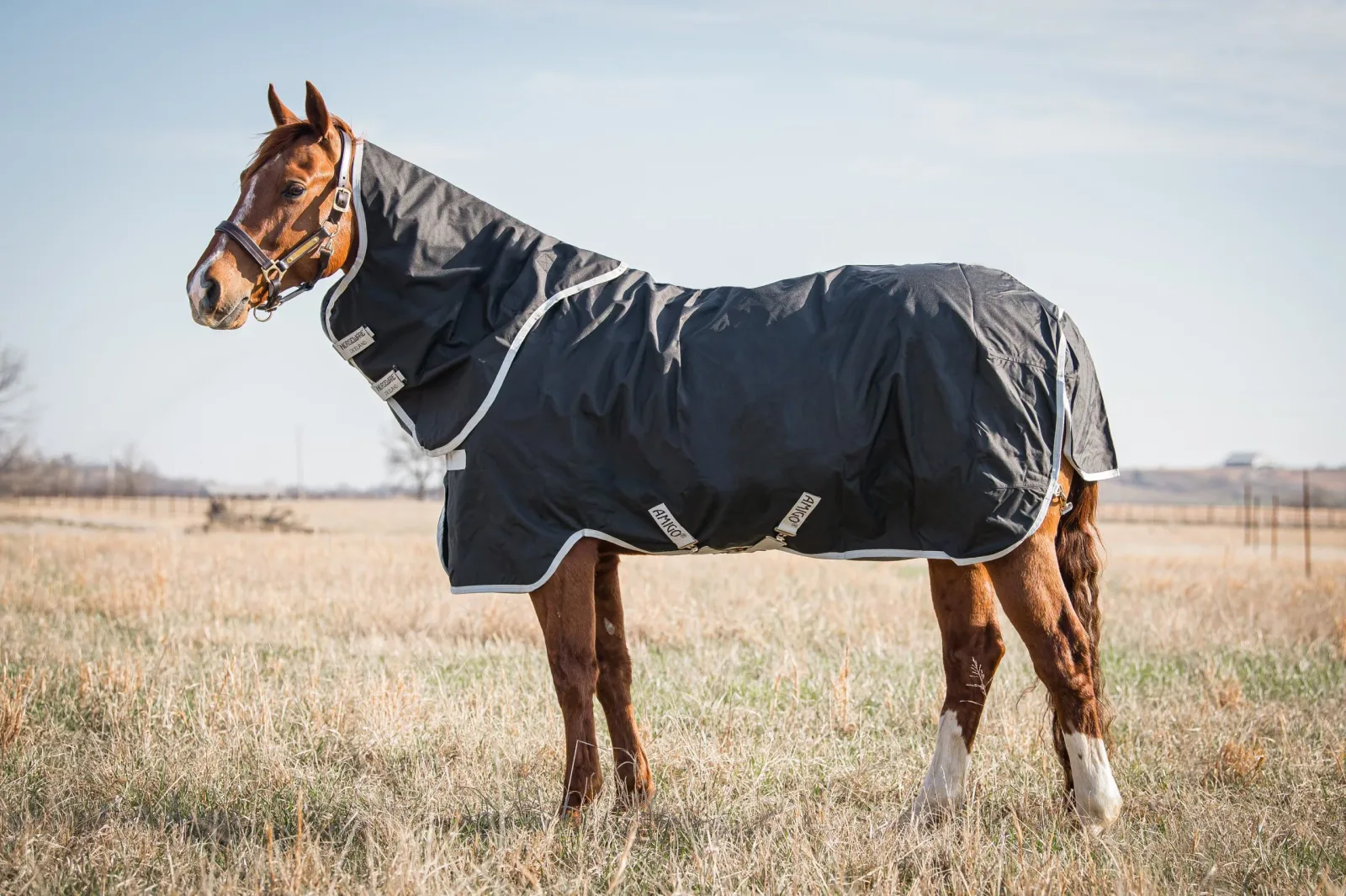 Horseware Ireland® Amigo® Stock Horse Plus Turnout Light