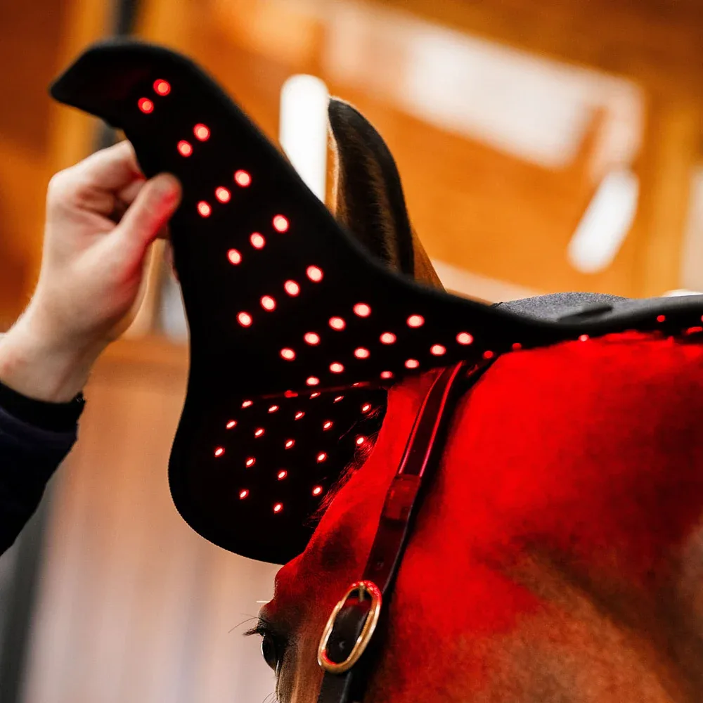 Horseware Ireland LED Red Light Therapy Poll Cap - Image 2