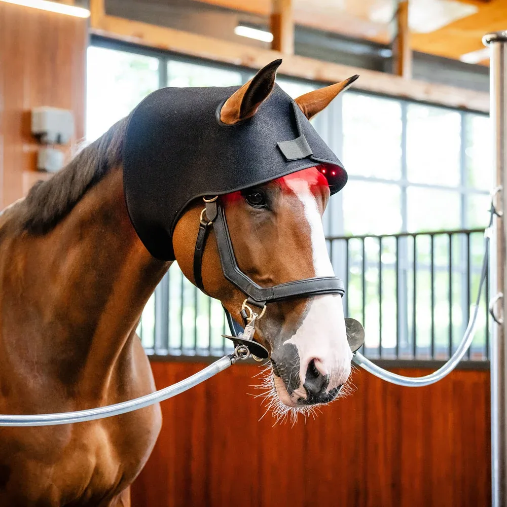 Horseware Ireland LED Red Light Therapy Poll Cap