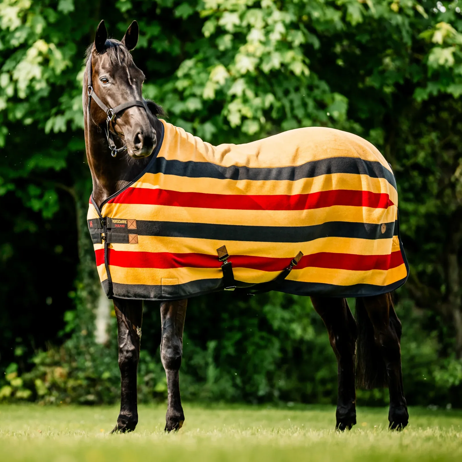 Horseware® Ireland Newmarket Fleece Cooler - Image 2