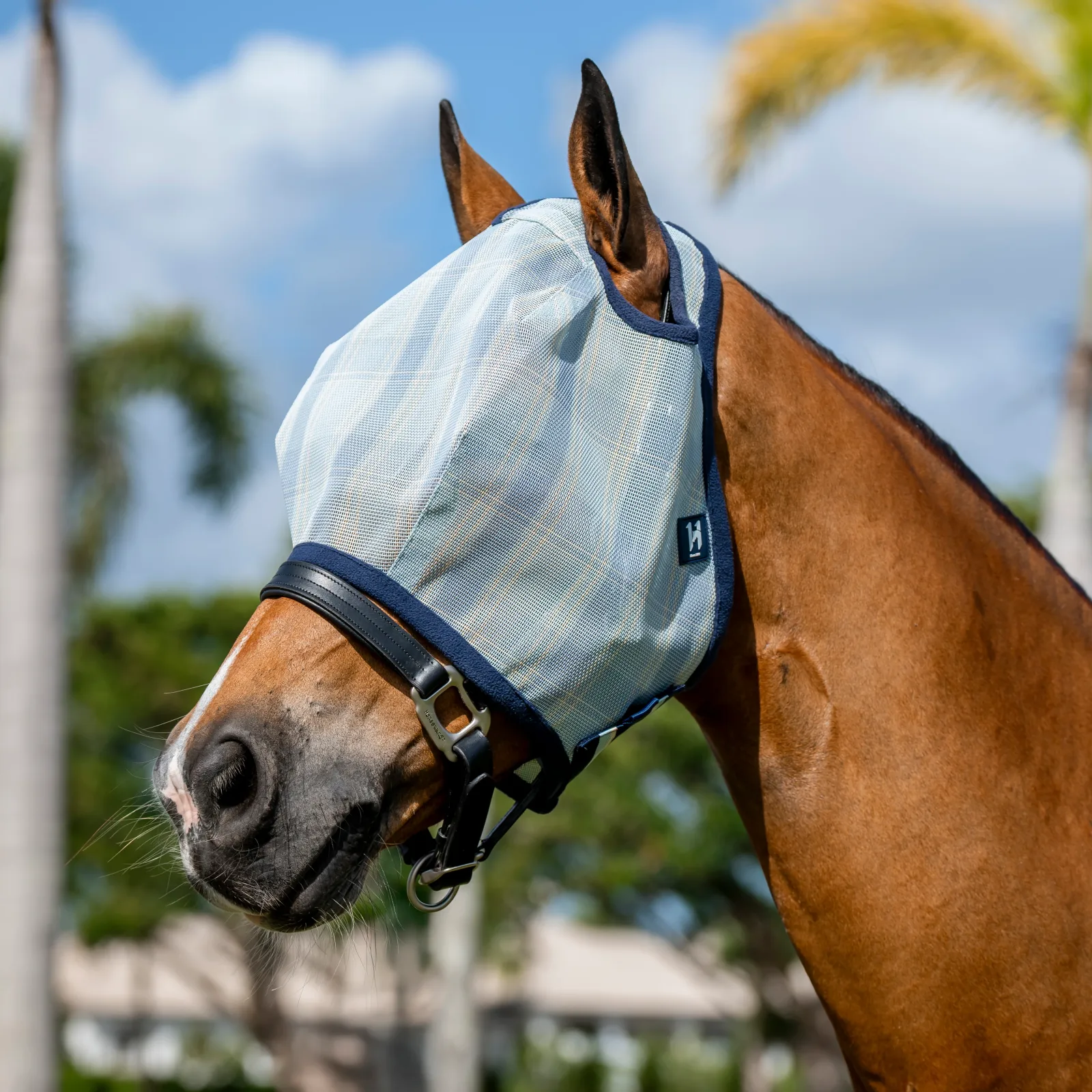 Horseware Ireland Newmarket Witney and Navy No Ears Horse Fly Mask