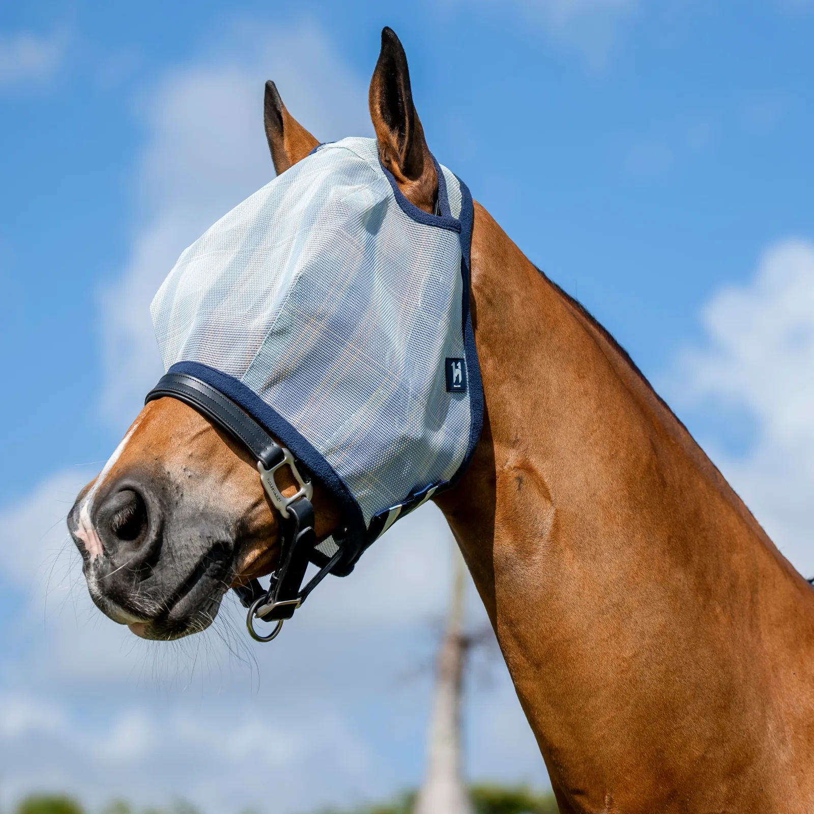 Horseware Ireland Newmarket Witney and Navy No Ears Horse Fly Mask - Image 2